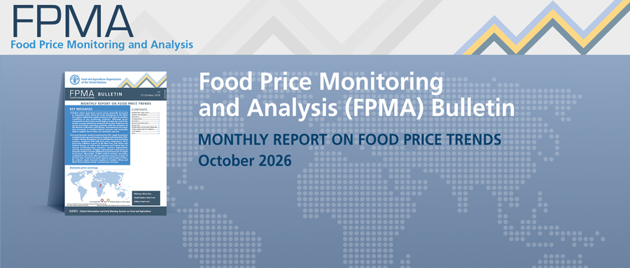 <a href='https://openknowledge.fao.org/handle/20.500.14283/ce2053en' target='_blank'>Find out the latest food price developments at world, regional and national level from this month’s edition</a> Image 1