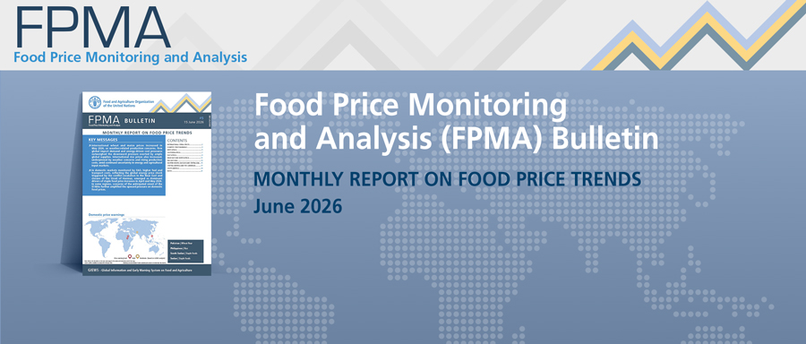 <a href='https://openknowledge.fao.org/handle/20.500.14283/CD9734EN' target='_blank'>Find out the latest food price developments at world, regional and national level from this month’s edition</a> Image 1