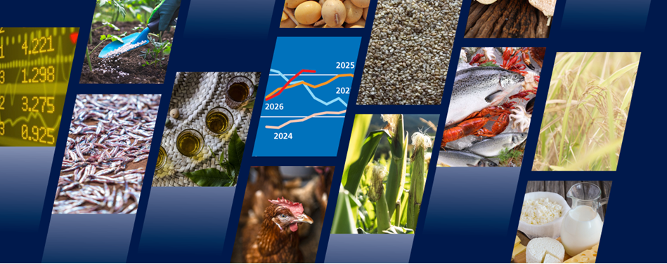 <a href='https://www.fao.org/newsroom/detail/fao-food-outlook--global-food-commodity-market-trends-face-rising-geopolitical-and-weather-risks/en' target='_blank'>Food Outlook: Global food commodity market trends face rising geopolitical and weather risks</a> Image 1