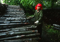 ©FAO/J. Koelen