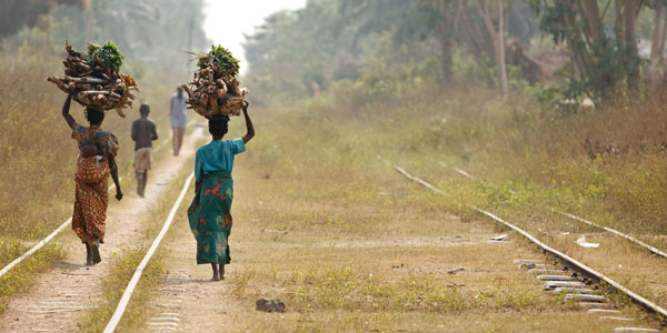 ©FAO/Olivier Asselin ©FAO/Olivier Asselin