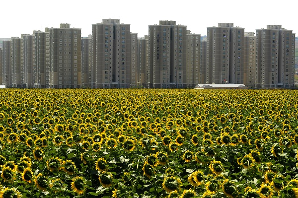 ©FAO/Riccardo Venturi ©FAO/Riccardo Venturi
