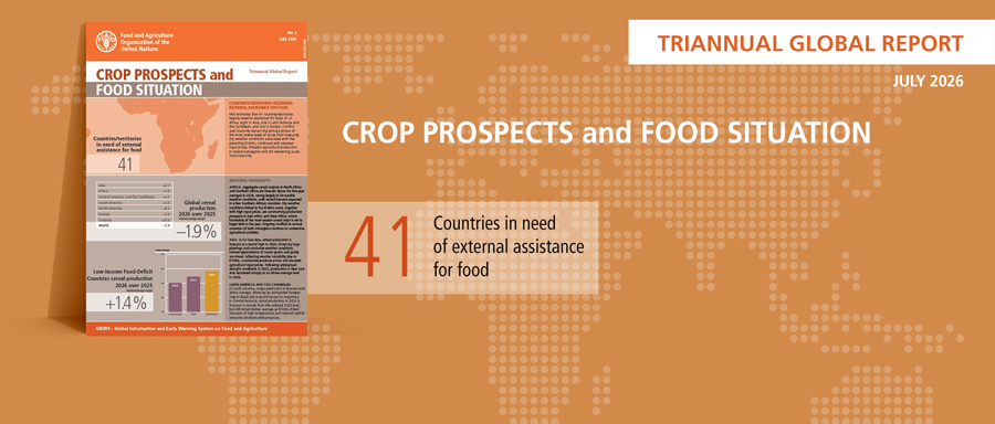 <a href='https://doi.org/10.4060/ce0480en' target='_blank'>Global cereal production forecast to fall in 2026, as El Niño adds risk to production and acute food insecurity</a> Image 1