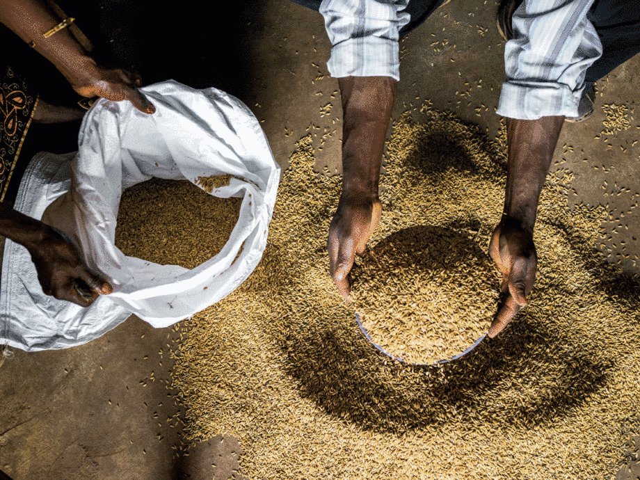 النظام العالمي للمعلومات والإنذار المبكر