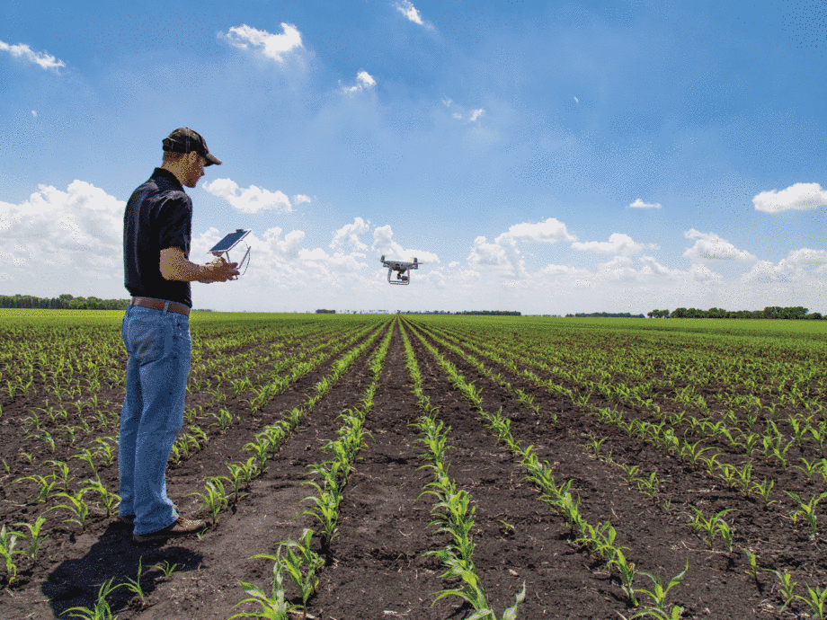 الاتجاهات والتحديات والفرص الجديدة