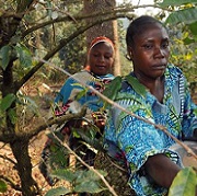 Legal recognition and allocation of rights