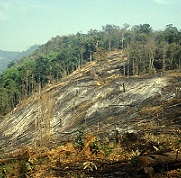 Responses to climate change and emergencies