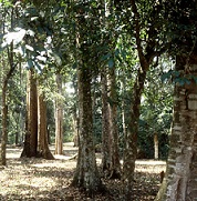 Transfers and changes of rights