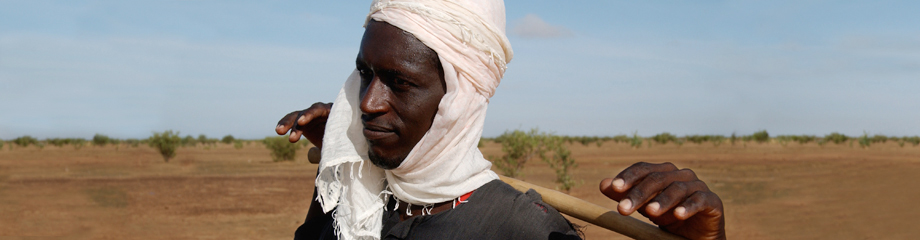Conférence régionale pour l’Afrique