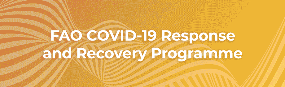 FAO COVID-19 Response and Recovery Programme. Partner with us to prevent a global food emergency