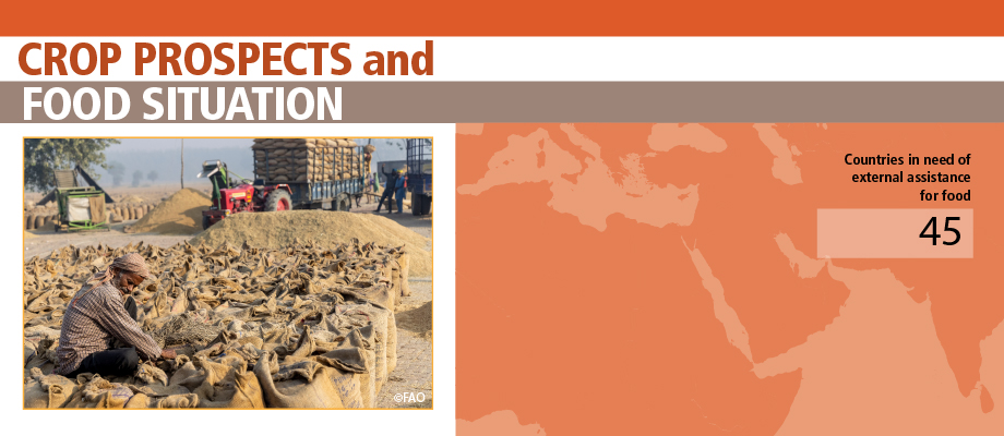 <a href='3/cc3233en/cc3233en.pdf' target='_blank'>Preocupación por las condiciones de inseguridad alimentaria en algunos países de África oriental y occidental</a> Image 1