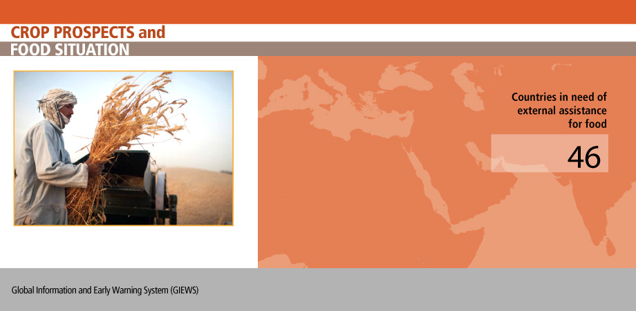 <a href='3/cc0868en/cc0868en.pdf' target='_blank'>Rising food prices stress food security across the globe</a> Image 3