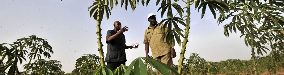 Photo: ©FAO/Sia Kambou