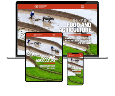 The State of Food and Agriculture 2021 | FAO | Food and Agriculture  Organization of the United Nations