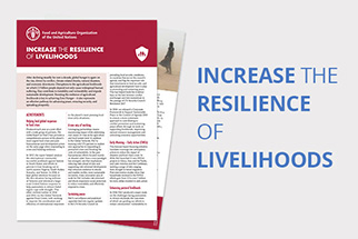 Increase the resilience of livelihoods
