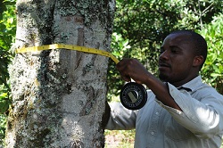 ©FAO/Simon Maina Tanzania
