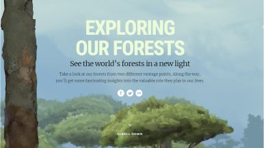 El Estado de los Bosques del Mundo