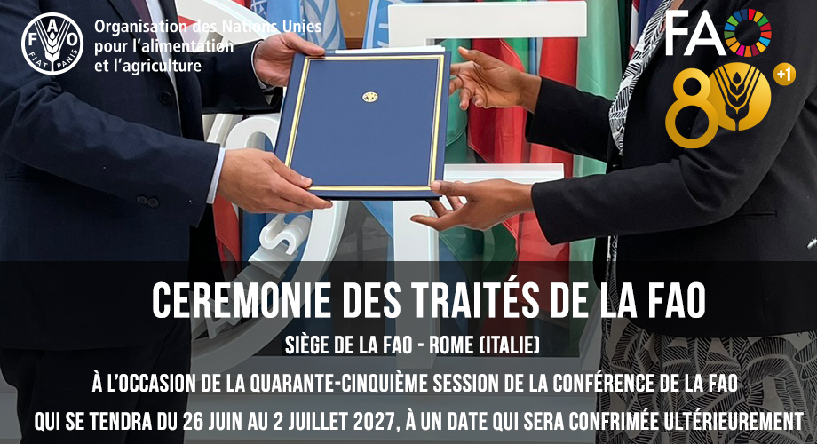 ©FAO/Alessandra Benedetti