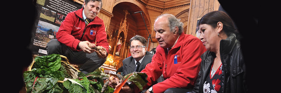 The Food and Agriculture Organization (FAO) of the United Nations has designated the Archipelago of Chiloé as "Globally Important Agricultural Heritage System".      From left to right: Juan Sebastián Montes, Intendant, Los Lagos Region; Alan Bojanic, FAO Representative in Chile; Luis Mayol, Minister of Agriculture, Chile; and Cecilia Guineo, Chiloé farmer representative. © MINAGRI/FAO.