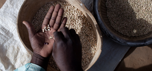 Photo: ©FAO/Olivier Asselin Photo: ©FAO/Olivier Asselin