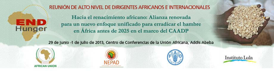 Reunión de Alto Nivel de líderes africanos e internacionales