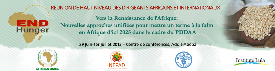 Réunion de haut-niveau des dirigeants africains et internationaux