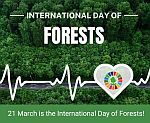 International Day of Forests 2023 global event highlights importance of  forests for environmental and human health