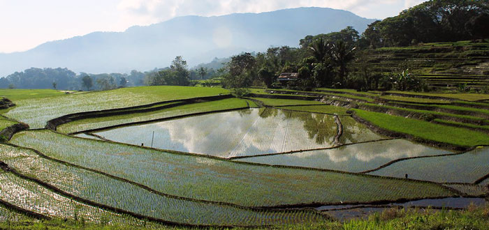 ©FAO/Lena Gubler