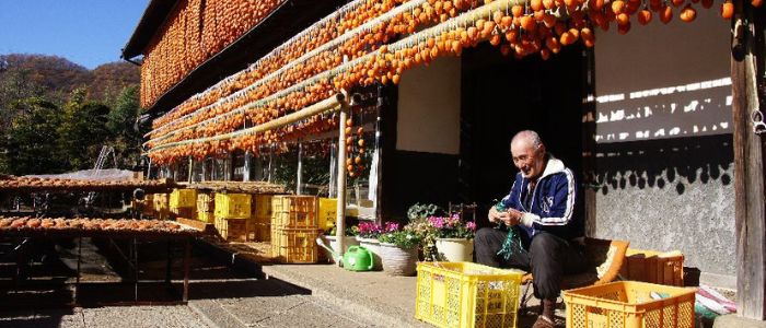 ©FAO/ GIAHS Promotion Association for the Kyoutou Area