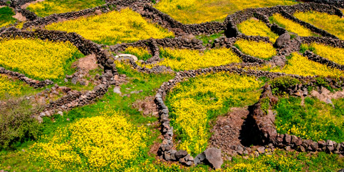 ©Photo courtesy Jeju Tourism Organization ©Photo courtesy Jeju Tourism Organization