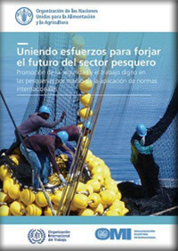 Uniendo esfuerzos para forjar el futuro del sector pesquero - Promoción de la seguridad y el trabajo digno en las pesquerías por medio de la aplicación de normas internacionales