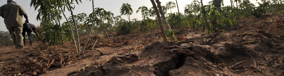 Photo: ©FAO/Sia Kambou