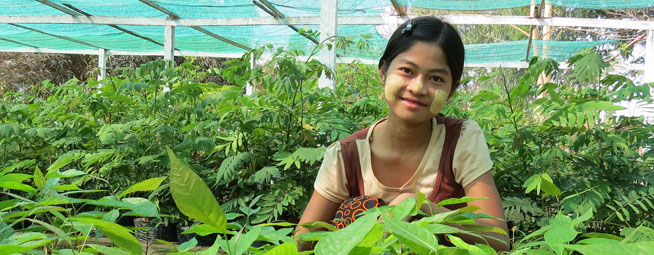 Asia-Pacific Forestry Week