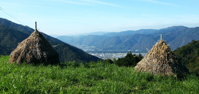 ©Tokushima-Mt. Tsurugi GIAHS Promotion Association