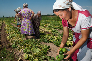 ©FAO ©FAO