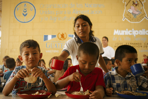 ©FAO ©FAO