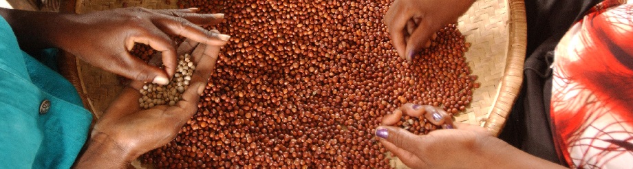 Photo: ©FAO/Giuseppe Bizzarri Photo: ©FAO/Giuseppe Bizzarri