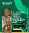 Success story: Senegal River Basin