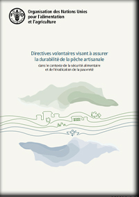 Directives volontaires visant à assurer la durabilité de la pêche artisanale