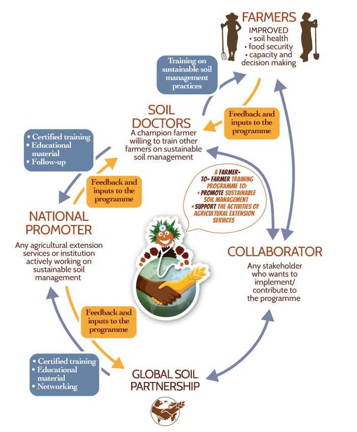 Global Soil Doctors Programme - What is it?