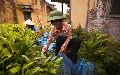 ©FAO/Joan Manuel Baliellas