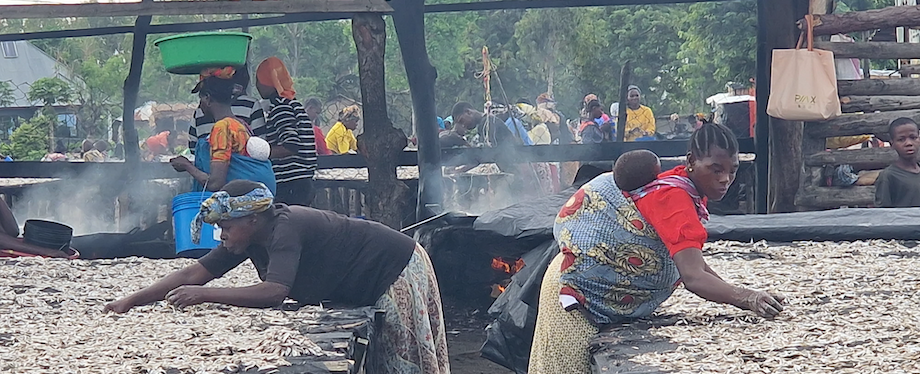 ©FAO/Omar Penarubia