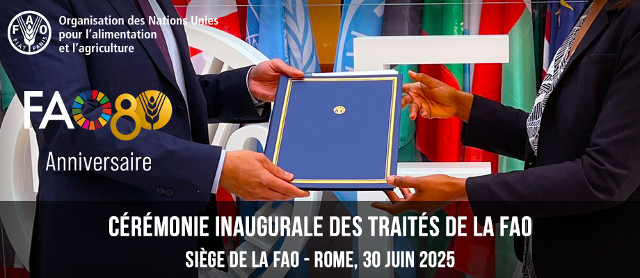 ©FAO/Alessandra Benedetti