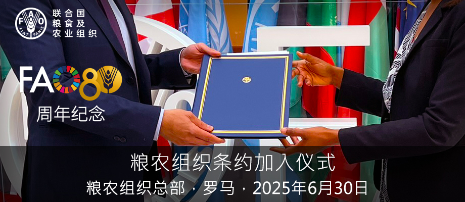 ©FAO/Alessandra Benedetti