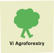 Vi Agroforestry