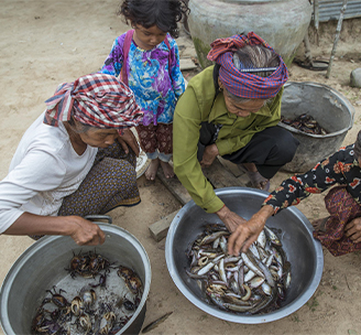 Fishes caught from the rice fields system support the livelihoods of many Cambodian communities. Selling fish at homeplace, this has a direct impact on families income generation. Tramper CFR main pond. Pursat. ©WorldFish Cambodia/Fani Llauradó