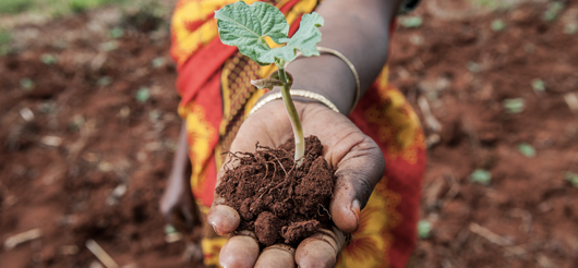 instituciones-nacionales