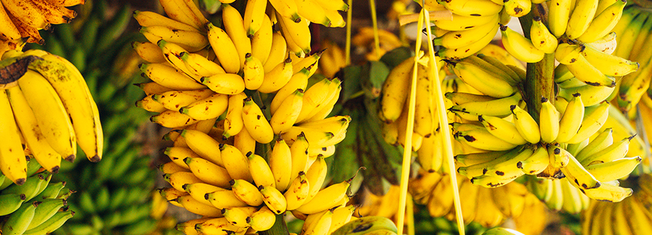 Fresh Bananas  Capital City Fruit