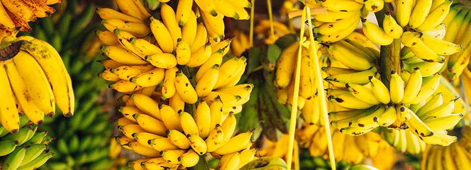 Bananes vrac agroécologie CARREFOUR LE MARCHE