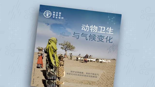 畜牧与环境 Fao 联合国粮食及农业组织